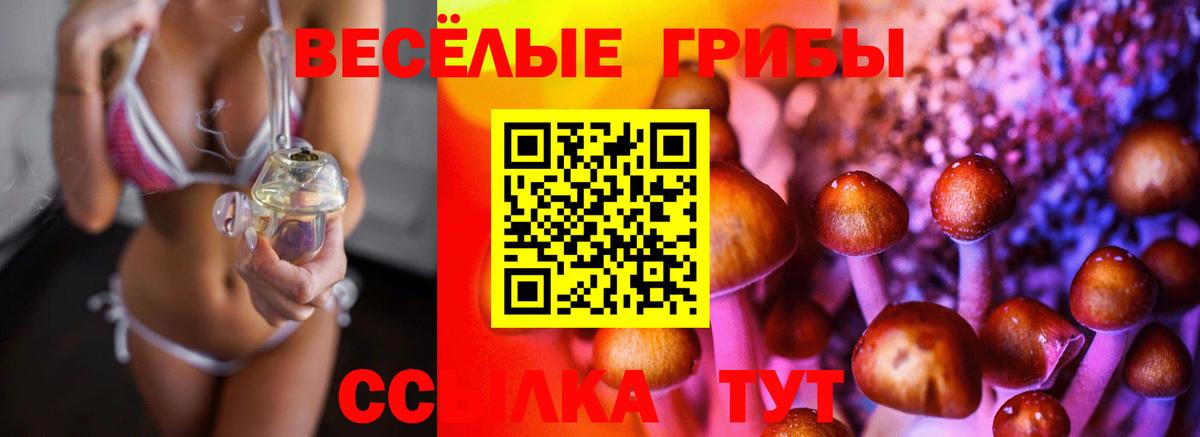 Галлюциногенные грибы GOLDEN TEACHER Сунжа